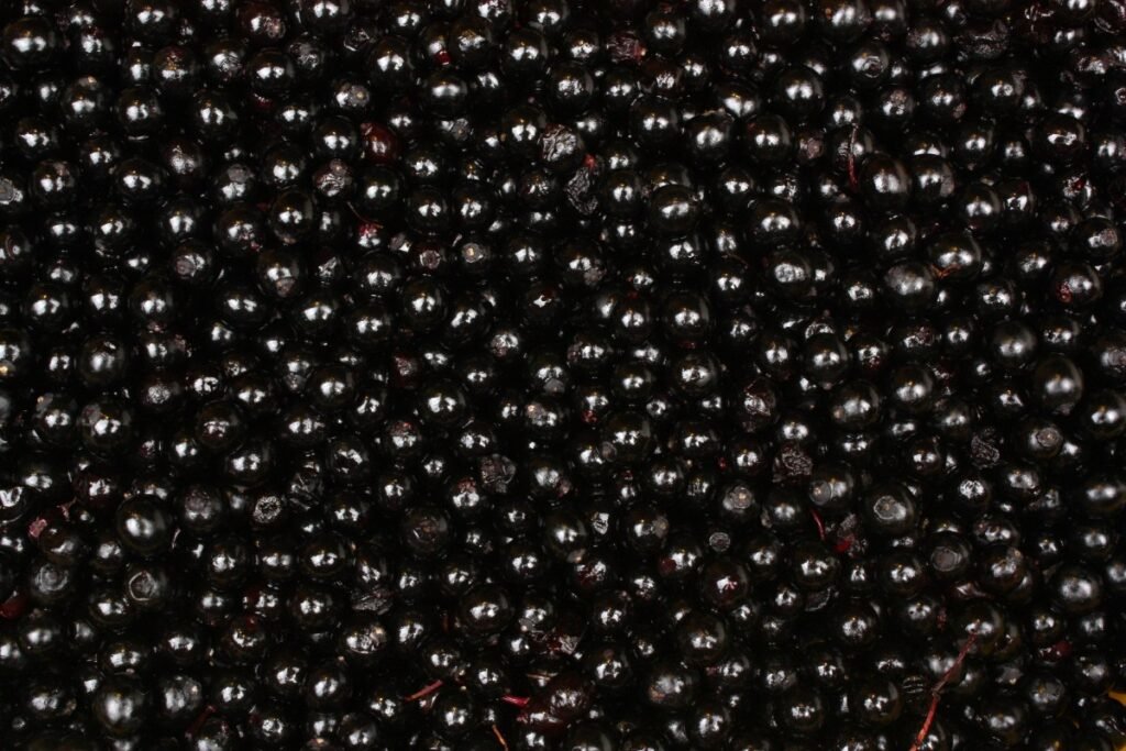elderberry bombs recipe