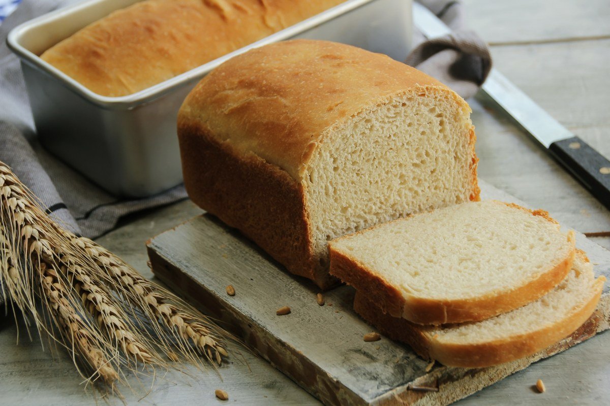 sourdough sandwich bread recipe