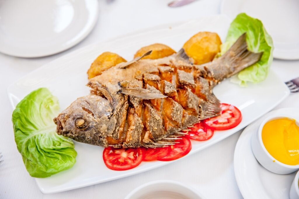 corvina fish
