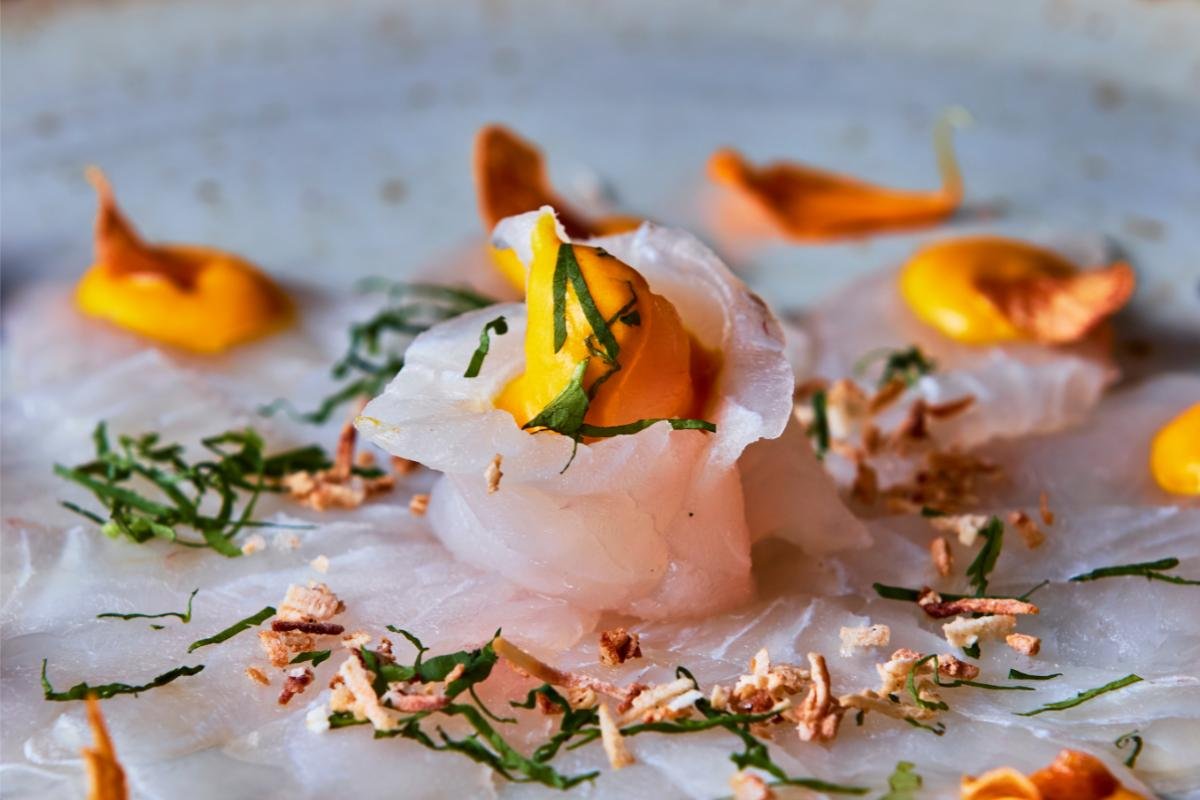 Corvina fish